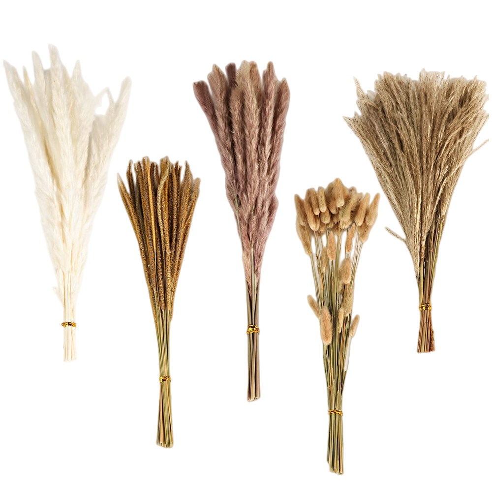 Florist Supply Vases - ช่อดอกไม้แห้งผสมสไตล์วินเทจฤดูใบไม้ร่วง, หญ้าแพมพัส, หญ้าหางกระต่าย และยูคาลิปตัสแดงอบแห้ง, สำหรับตกแต่งแจกันบนโต๊ะในบ้าน, ตกแต่งงานแต่งงาน,