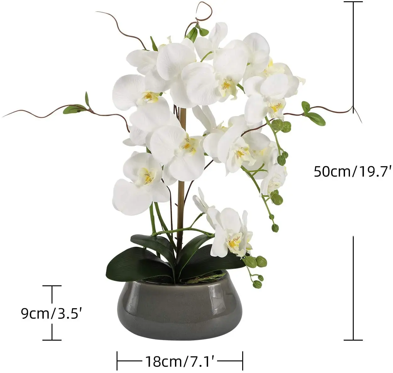 แกนกลางดอกไม้กล้วยไม้เทียมสำหร - Florist Supply Vases บทวิจารณ์และราคา