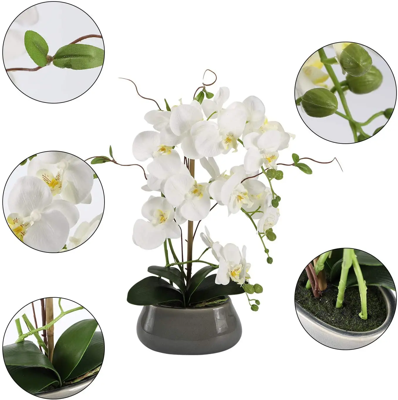 แกนกลางดอกไม้กล้วยไม้เทียมสำหร - Florist Supply Vases บทวิจารณ์และราคา